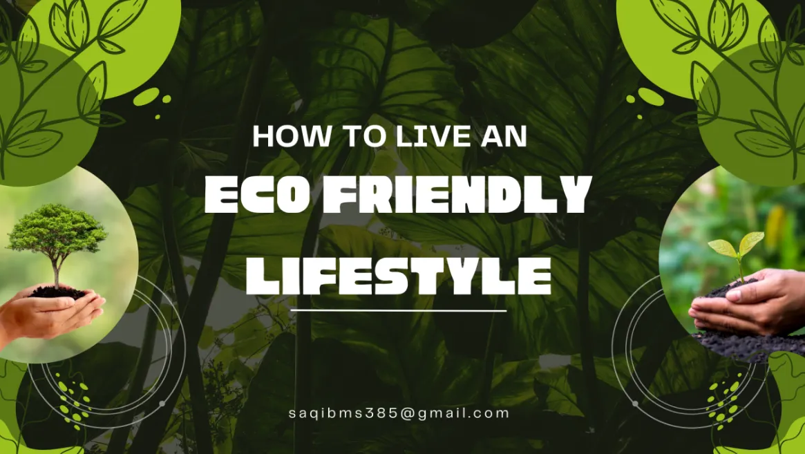 Sustainable Living Easy Lifestyle Changes to Reduce Your Environmental Footprint